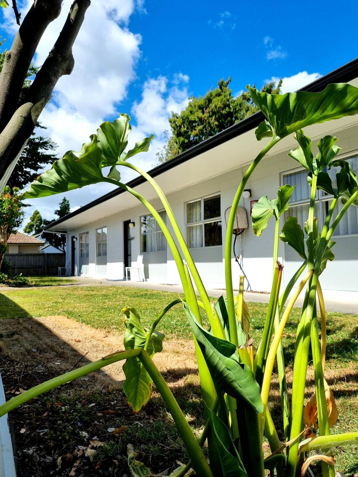 Cedar Lodge Motel Hamilton Zewnętrze zdjęcie